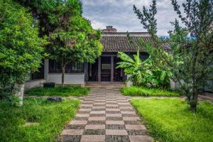 Backyard Housing